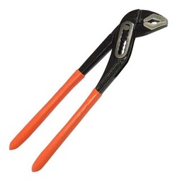 [0526] PICO DE LORO 12 &quot;